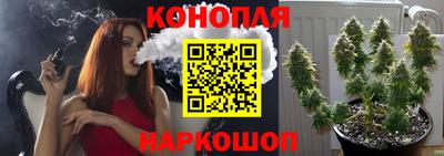 трава Новокубанск