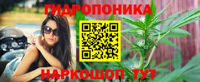 трава Новокубанск