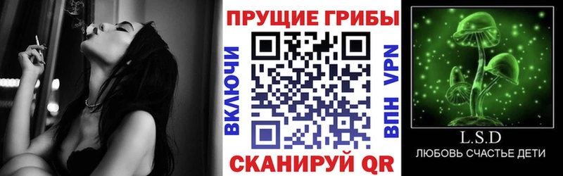купить наркотики цена  Южноуральск  Псилоцибиновые грибы Cubensis 