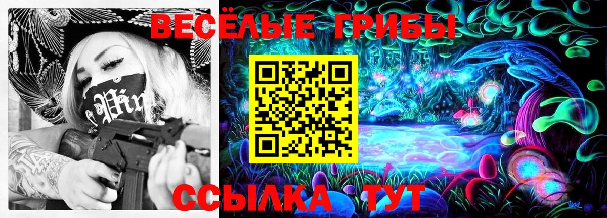 сколько стоит  Вход с VPN  Южноуральск  Псилоцибиновые грибы мицелий 